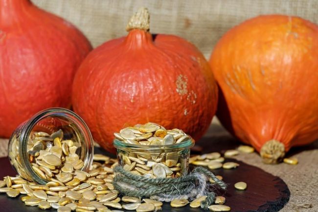 Sunflower Pumpkin Herb Seed Cheese Sunflower Pumpkin Herb Seed Cheese