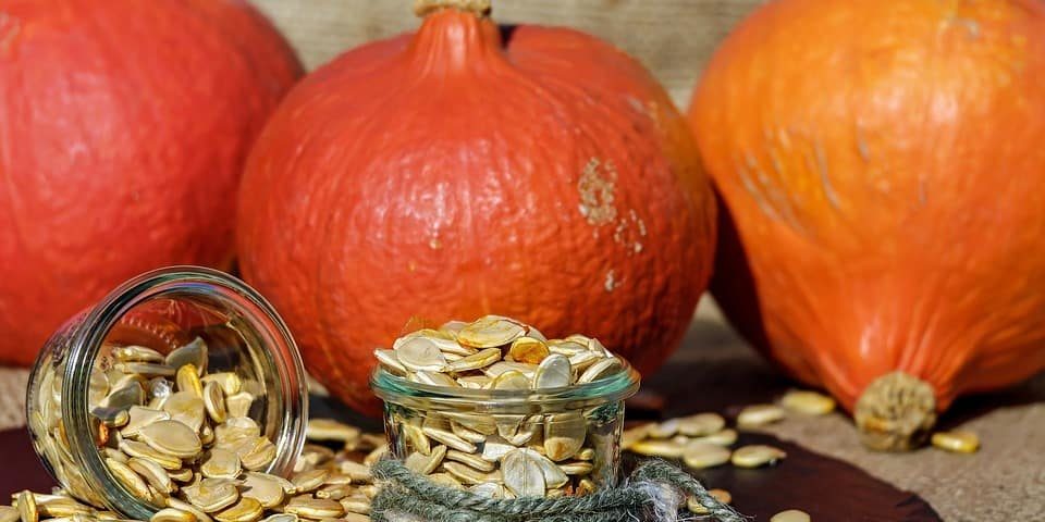 Sunflower Pumpkin Herb Seed Cheese