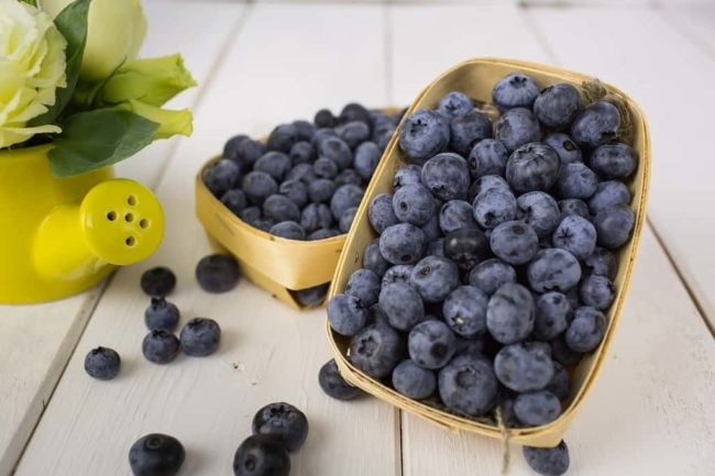Free Radicals