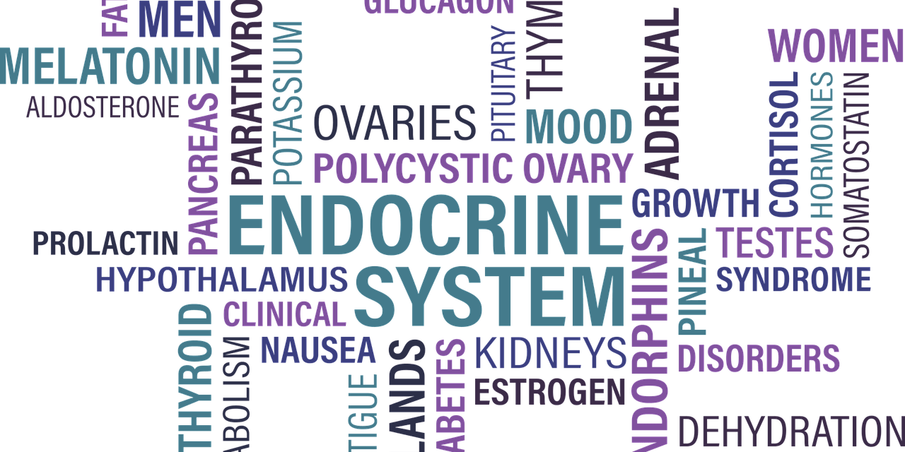 Demystifying the thyroid demystify-thyroid