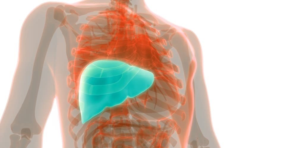 Liver-symptoms-best-diet