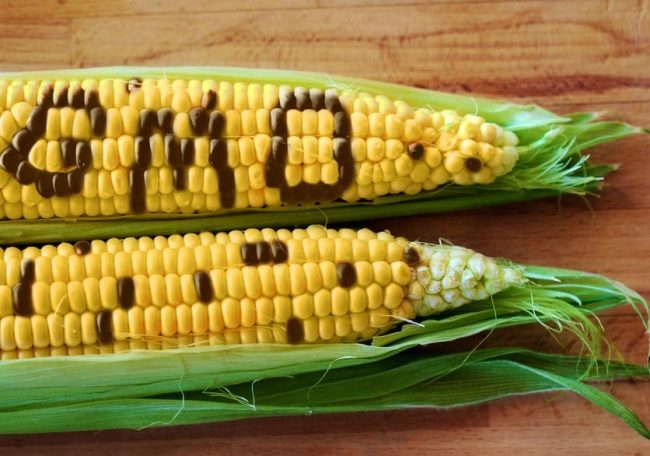 GMO Food List Avoid