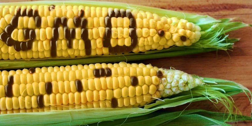 GMO Food List Avoid