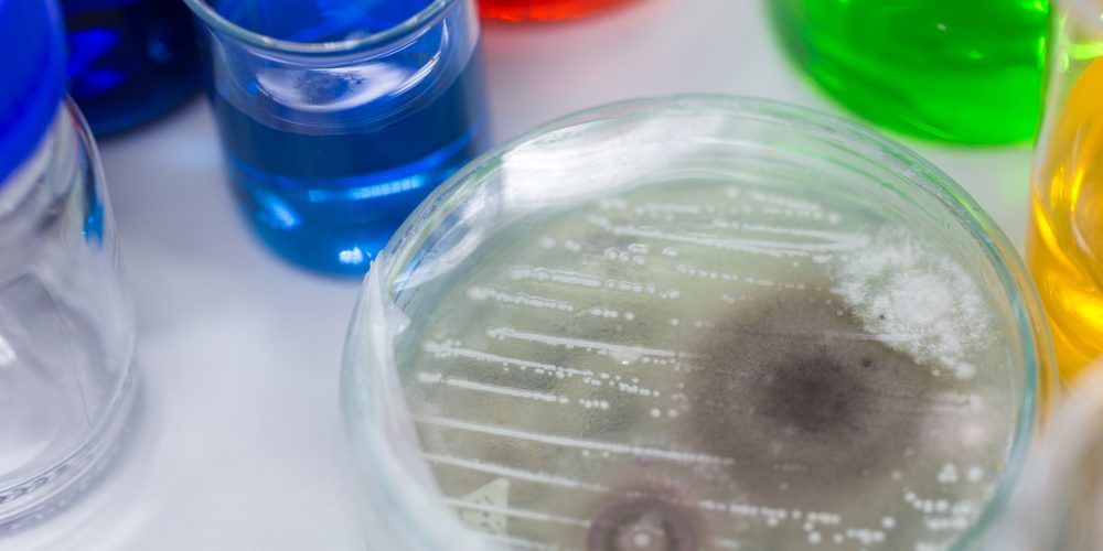 Mold and Mycotoxins with Nutrition Key Mold and Mycotoxins