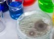 Mold and Mycotoxins