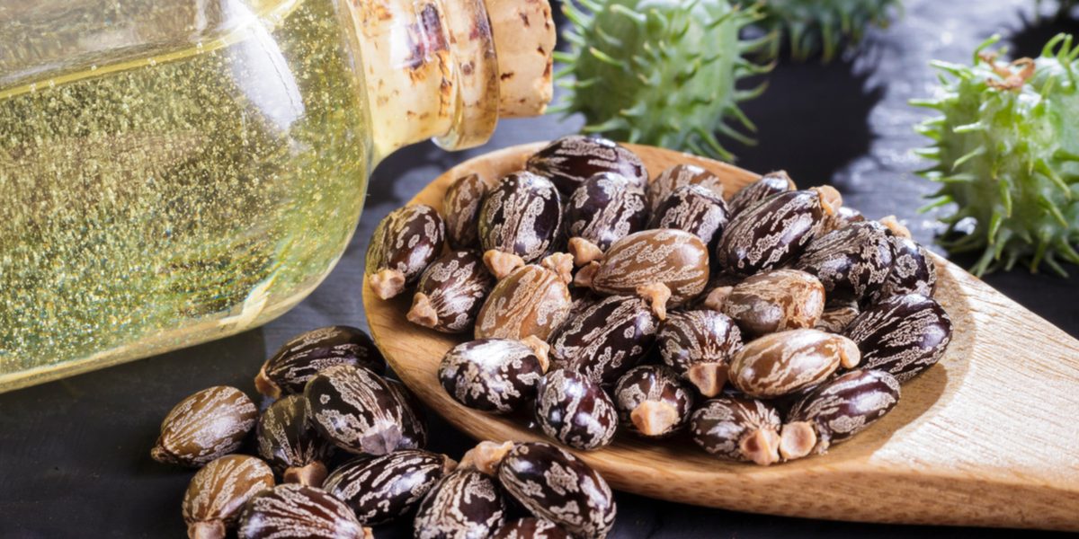 Benefits of Castor Oil on Gut Health with Nutrition Key Castor Oil on Gut Health Digestion