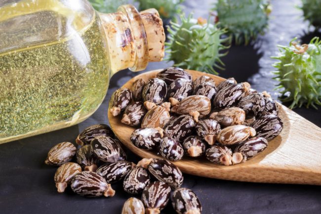 Castor Oil on Gut Health Digestion