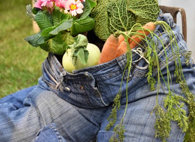 Causes Gut Issues