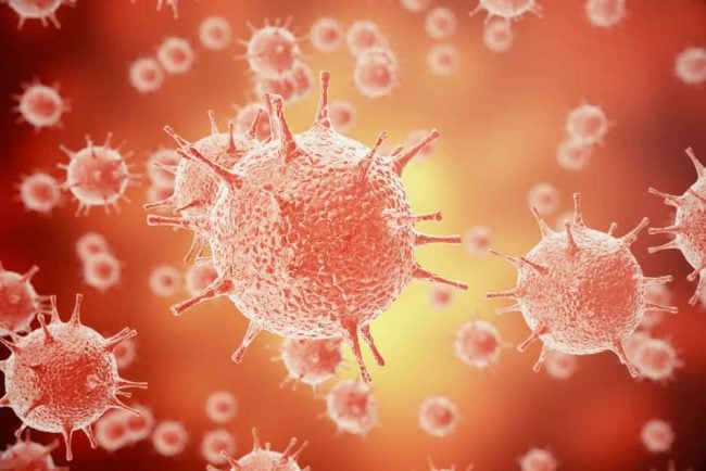 Coronavirus
