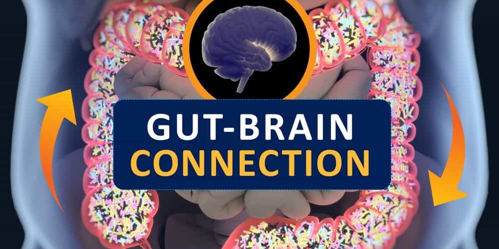 ut-brain Connection with Nutrition Key Gut-Brain Connection