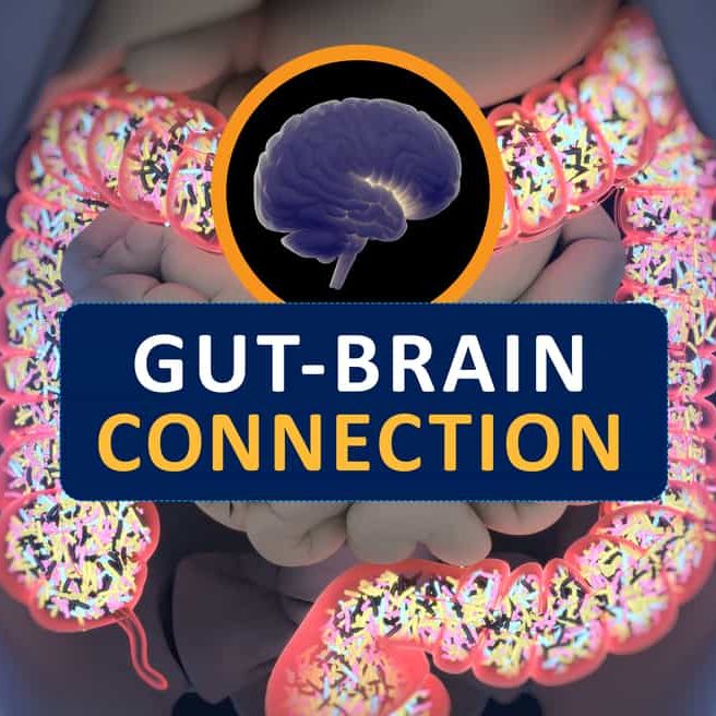 Gut-Brain Connection